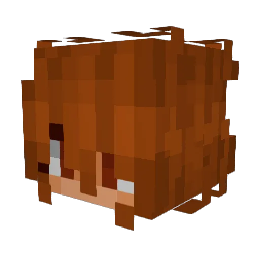 snghanbin Minecraft avatar head, 3D render