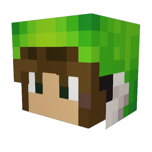 snickelberry Minecraft avatar head, 3D render