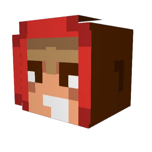 snicken Minecraft avatar head, 3D render