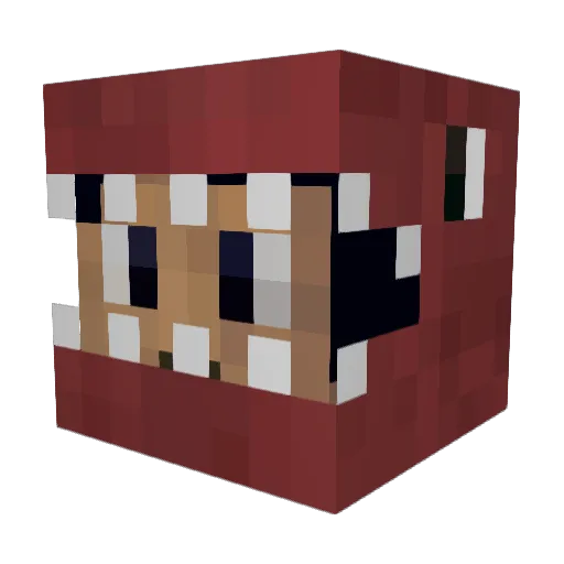 snickerpleez Minecraft avatar head, 3D render