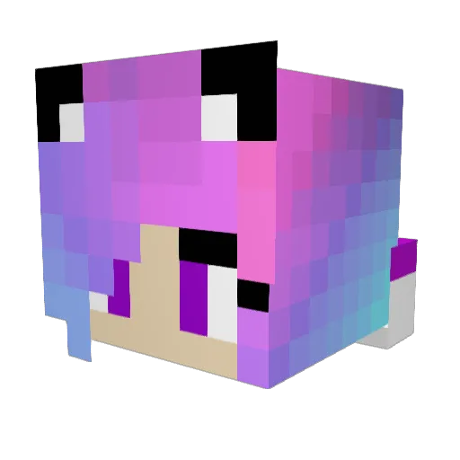 sniff108 Minecraft avatar head, 3D render