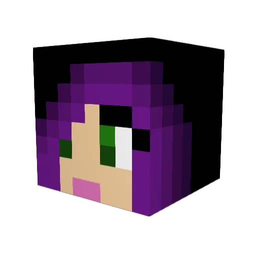 sniffi03 Minecraft avatar head, 3D render