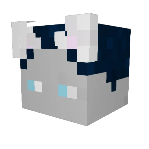 sniffle__ Minecraft avatar head, 3D render