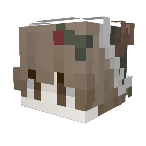 sniffles17 Minecraft avatar head, 3D render