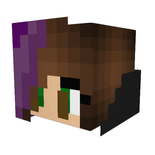 sniktharaja Minecraft avatar head, 3D render