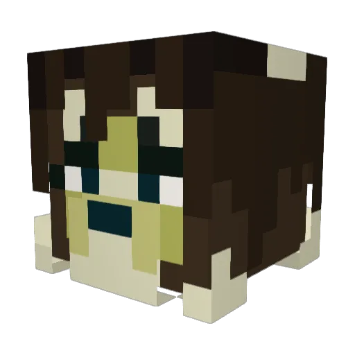 sniperfoxx33 Minecraft avatar head, 3D render