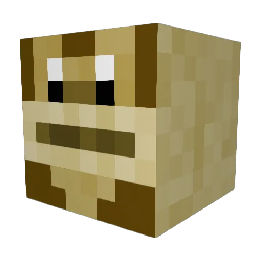 snipermonkey08 Minecraft avatar head, 3D render