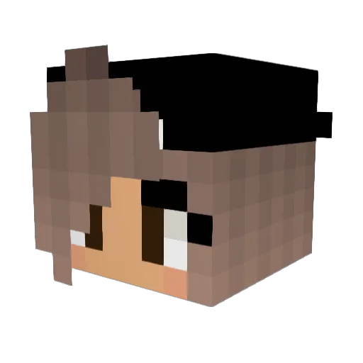 snix92 Minecraft avatar head, 3D render