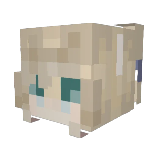 snjes Minecraft avatar head, 3D render
