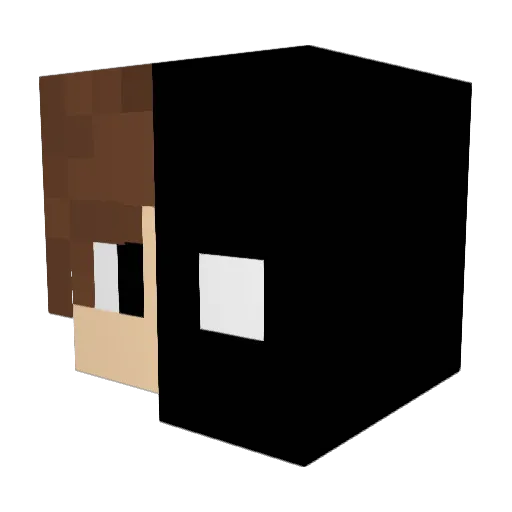 snm_varun Minecraft avatar head, 3D render