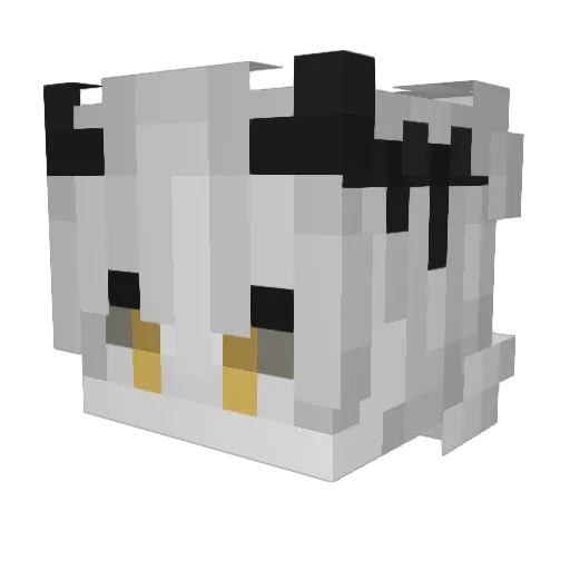 snnjxns_ Minecraft avatar head, 3D render