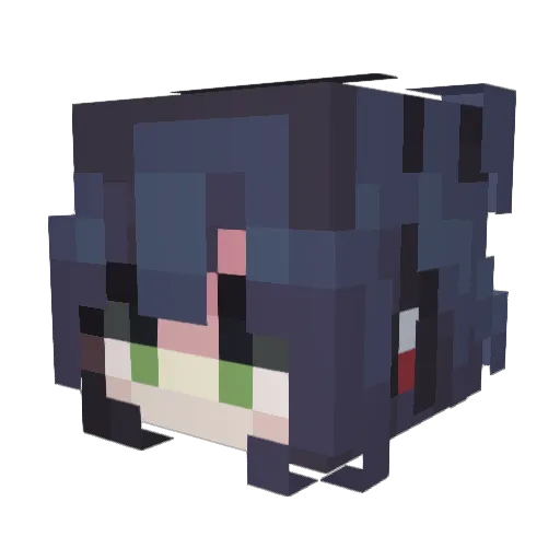 snnm Minecraft avatar head, 3D render