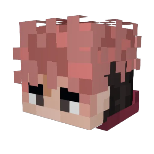 sno2snow Minecraft avatar head, 3D render