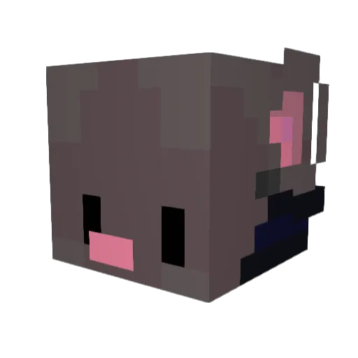 snoax_ Minecraft avatar head, 3D render