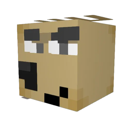 snofje Minecraft avatar head, 3D render