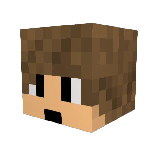 snohi Minecraft avatar head, 3D render