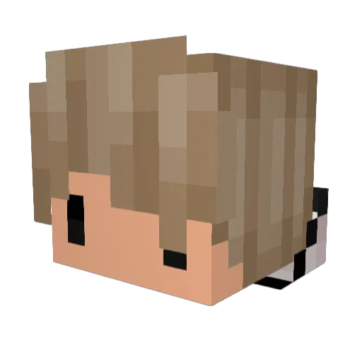snooeynet Minecraft avatar head, 3D render