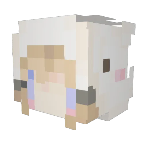 snooket Minecraft avatar head, 3D render
