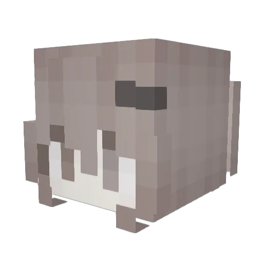 snooozie Minecraft avatar head, 3D render