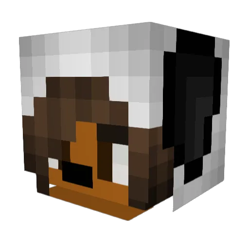 snooptopia Minecraft avatar head, 3D render