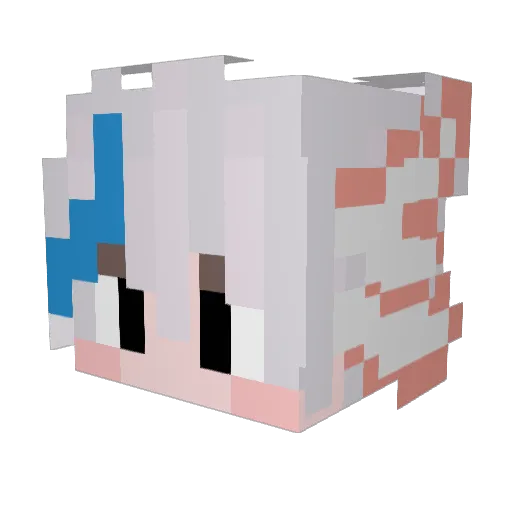 snoopy452 Minecraft avatar head, 3D render