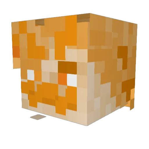 snoopyTHECat1 Minecraft avatar head, 3D render