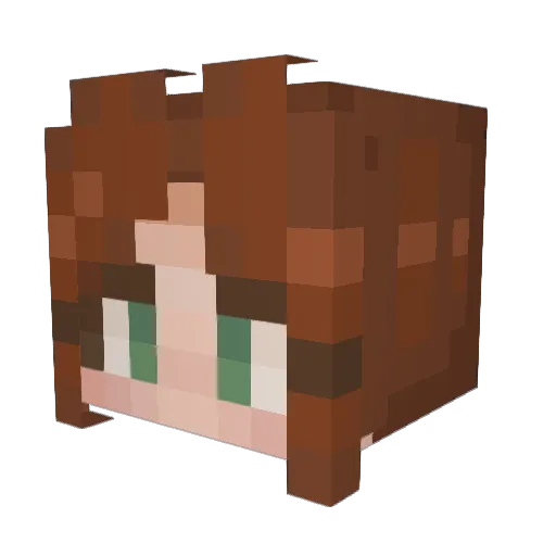snoopyfan643 Minecraft avatar head, 3D render