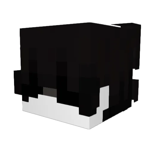 snoopylols Minecraft avatar head, 3D render