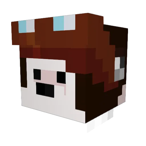 snooqys Minecraft avatar head, 3D render
