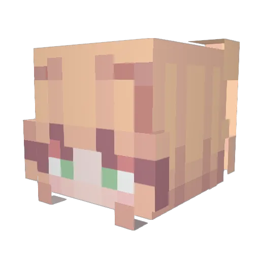 snoozb Minecraft avatar head, 3D render