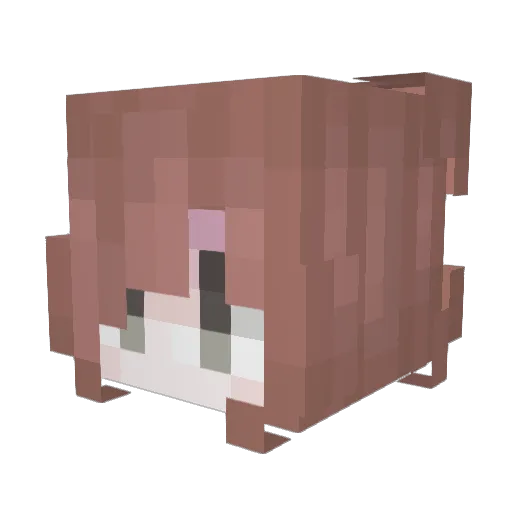 snoozette Minecraft avatar head, 3D render