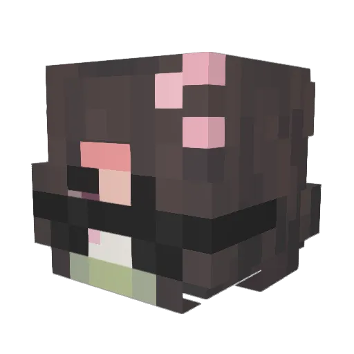 snoozy_ace Minecraft avatar head, 3D render
