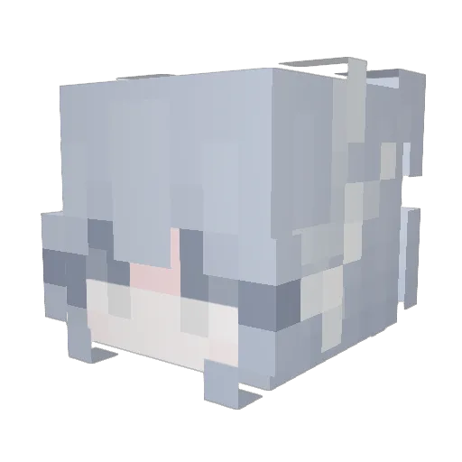 snoozys Minecraft avatar head, 3D render