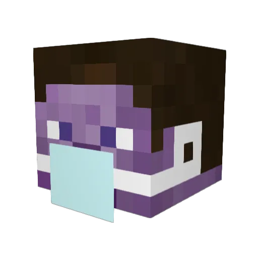 snopperpopper Minecraft avatar head, 3D render