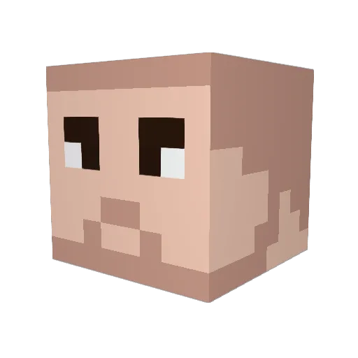 snorkelbottom Minecraft avatar head, 3D render