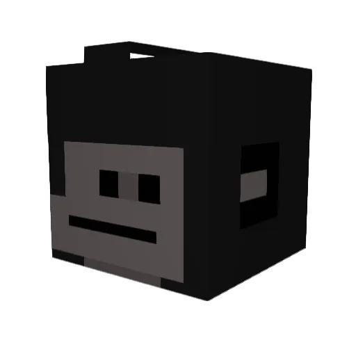 snorkelmyturtles Minecraft avatar head, 3D render