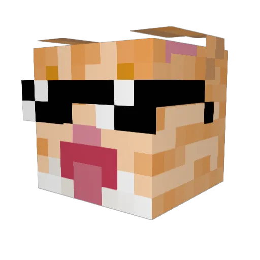 snorklecat Minecraft avatar head, 3D render