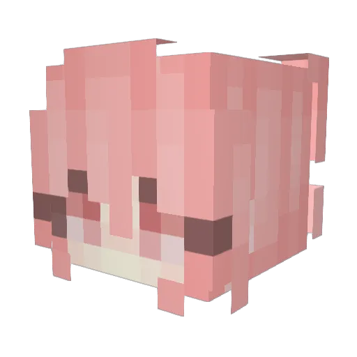 snow223 Minecraft avatar head, 3D render