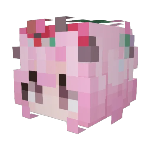 snowFlake752 Minecraft avatar head, 3D render