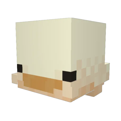snowFli Minecraft avatar head, 3D render