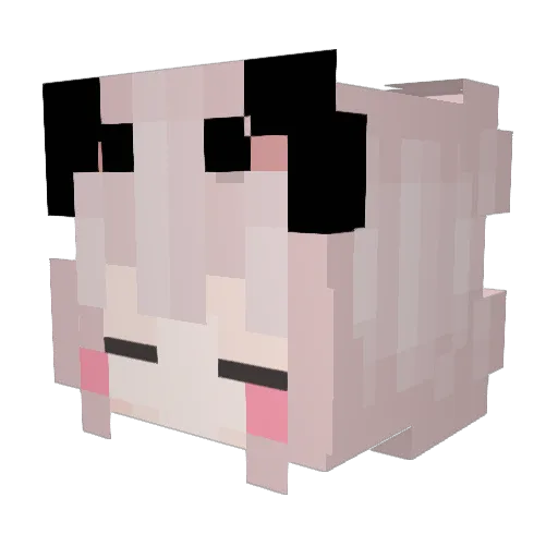snow_aunt Minecraft avatar head, 3D render