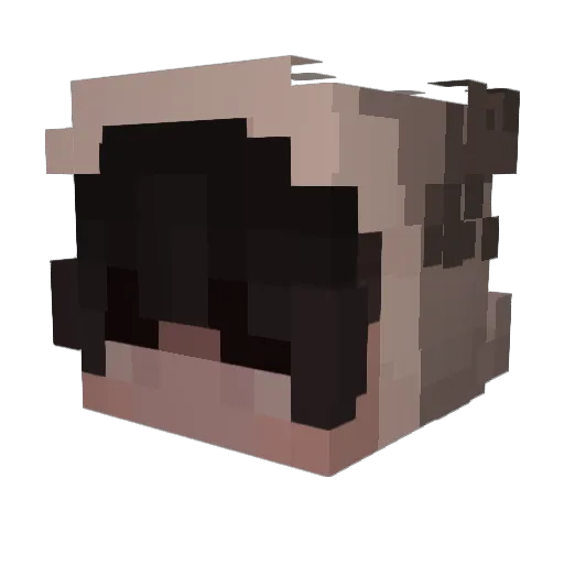 snow_ball1214 Minecraft avatar head, 3D render