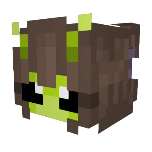 snowballfite Minecraft avatar head, 3D render