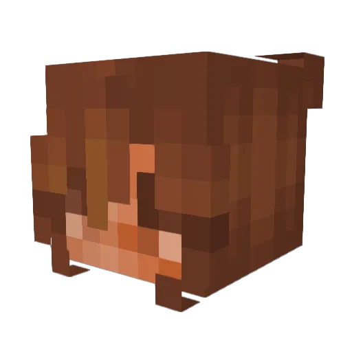snowboarder0306 Minecraft avatar head, 3D render