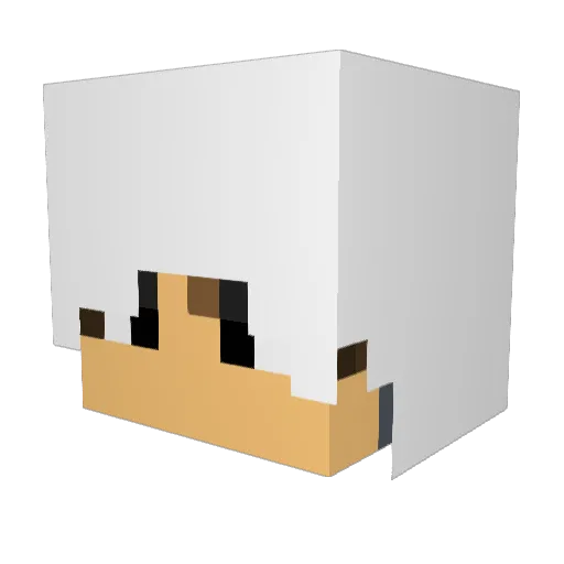 snowbound15 Minecraft avatar head, 3D render