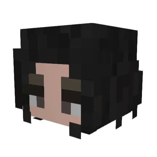 snowbudz Minecraft avatar head, 3D render