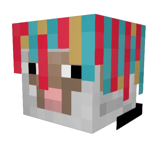 snowfall24 Minecraft avatar head, 3D render
