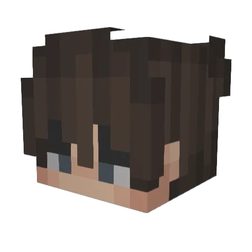 snowfidi Minecraft avatar head, 3D render