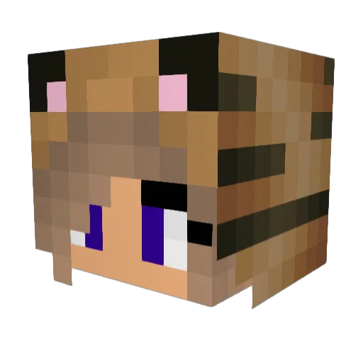 snowflake433 Minecraft avatar head, 3D render