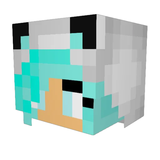 snowflakeee Minecraft avatar head, 3D render